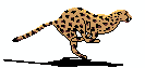 leo.gif